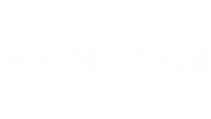 white and case